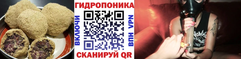 купить закладку  гидра как зайти  Cannafood конопля  Заводоуковск 