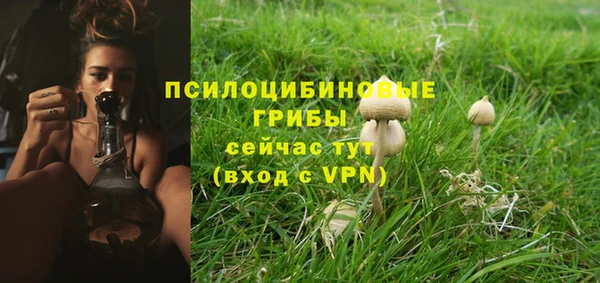 дживик Белокуриха
