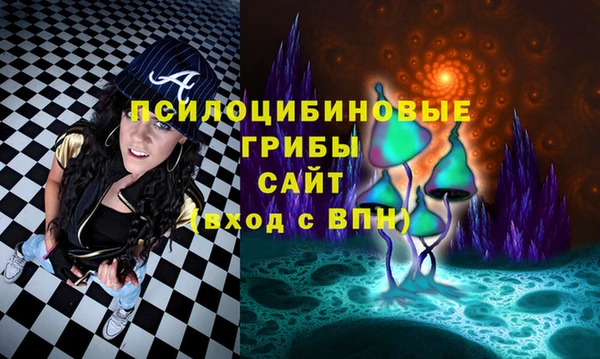 дживик Белокуриха