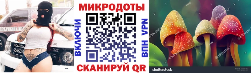как найти наркотики Заводоуковск Галлюциногенные грибы Psilocybine cubensis